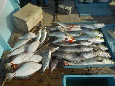 釣船 英造丸の2019年11月9日(土)1枚目の写真