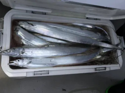 大阪府北中通漁港 上丸の釣果詳細 釣果 施設情報 釣りビジョン 釣果 施設情報 釣りビジョン