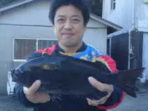 渡船民宿倉の下の2019年12月20日(金)1枚目の写真