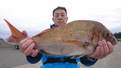 共栄丸の2019年12月26日(木)1枚目の写真