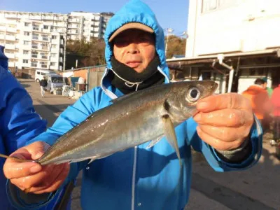 一郎丸の2020年1月11日(土)2枚目の写真