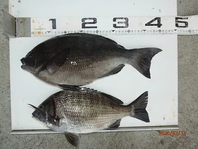奥田つり具店の2020年2月12日(水)1枚目の写真