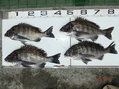 奥田つり具店の2020年2月12日(水)5枚目の写真