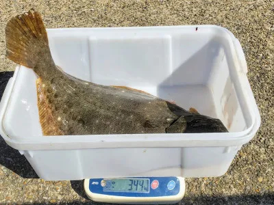 あままさ丸の2020年2月18日(火)5枚目の写真