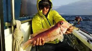 静岡県焼津小川港 ともわ丸の釣果詳細 釣果 施設情報 釣りビジョン 釣果 施設情報 釣りビジョン