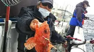 静岡県焼津小川港 ともわ丸の釣果詳細 釣果 施設情報 釣りビジョン 釣果 施設情報 釣りビジョン