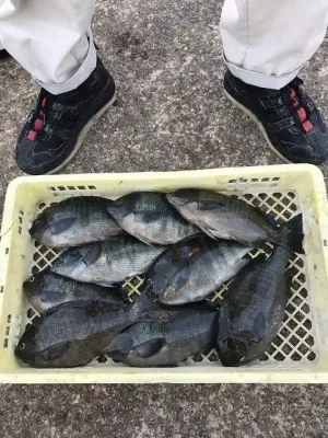 垂水一文字船長丸(海神丸)の2020年6月4日(木)3枚目の写真