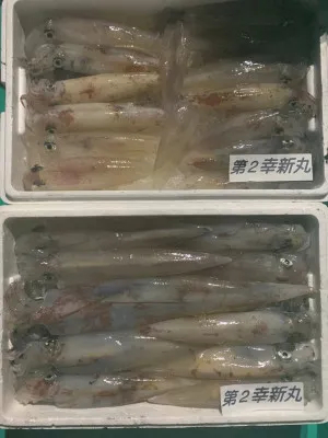 第二 幸新丸の2020年6月4日(木)1枚目の写真