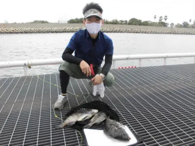 尼崎市立魚つり公園の2020年6月25日(木)1枚目の写真