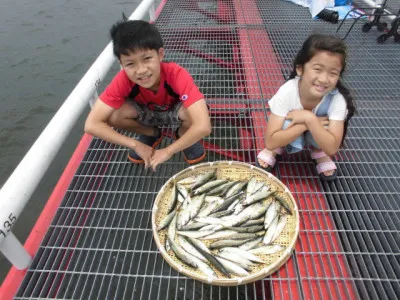 尼崎市立魚つり公園の2020年6月27日(土)1枚目の写真