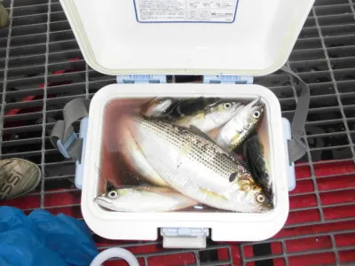 尼崎市立魚つり公園の2020年6月28日(日)3枚目の写真
