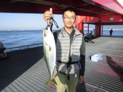尼崎市立魚つり公園の2020年10月2日(金)1枚目の写真