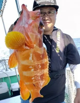 Fishing Boat P-IIIの2020年10月4日(日)3枚目の写真