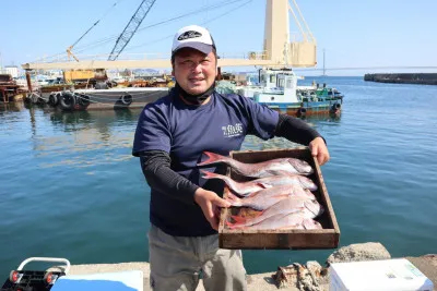 被り心地最高 遊漁船チケット4枚 明石 魚英 ジギング タイラバ 格安人気 被り心地最高 遊漁船チケット4枚 明石 魚英 ジギング タイラバ 格安人気