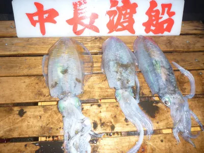 中長渡船の2020年10月28日(水)3枚目の写真
