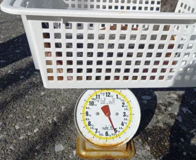 春栄丸の2020年12月16日(水)3枚目の写真