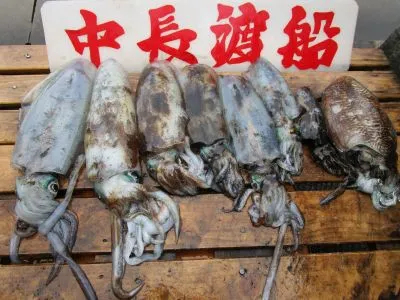 中長渡船の2020年12月22日(火)1枚目の写真