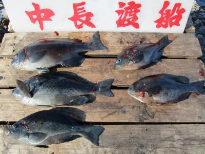 中長渡船の2020年12月22日(火)2枚目の写真