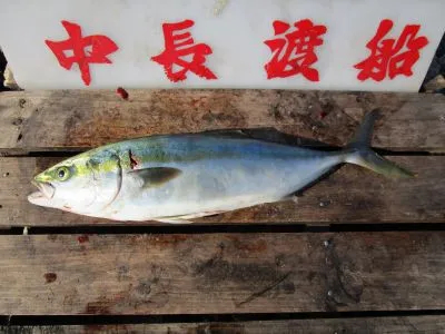 中長渡船の2020年12月22日(火)3枚目の写真