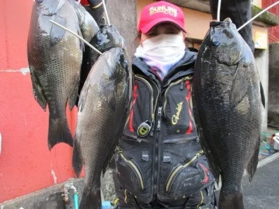 三重県梶賀 榎本渡船の釣果詳細 釣果 施設情報 釣りビジョン 釣果 施設情報 釣りビジョン 三重県梶賀 榎本渡船の釣果詳細 釣果 施設情報 釣りビジョン 釣果 施設情報 釣りビジョン
