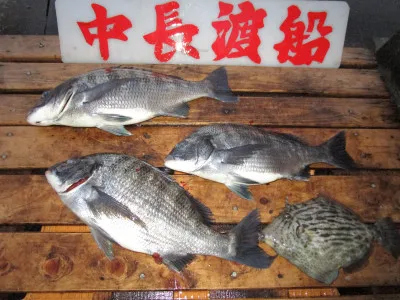 中長渡船の2021年2月13日(土)2枚目の写真