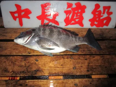 中長渡船の2021年2月13日(土)3枚目の写真