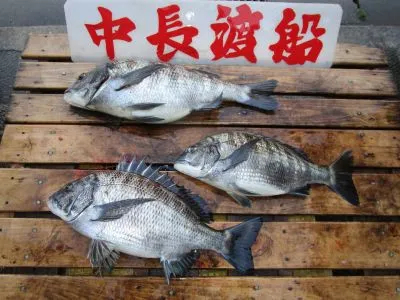 中長渡船の2021年2月20日(土)2枚目の写真
