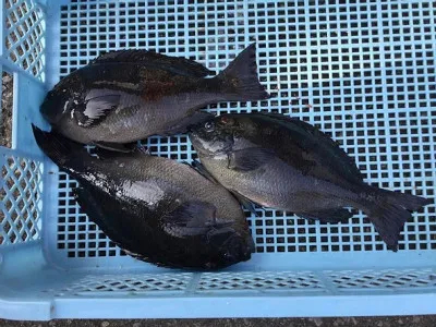 弁天丸の2021年2月24日(水)2枚目の写真
