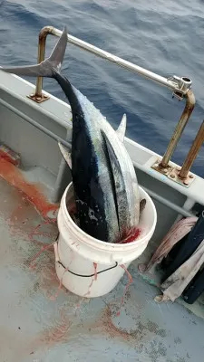 釣華丸の2021年3月8日(月)3枚目の写真