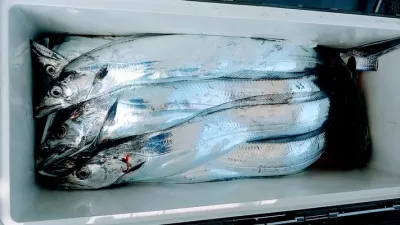 釣華丸の2021年3月16日(火)4枚目の写真