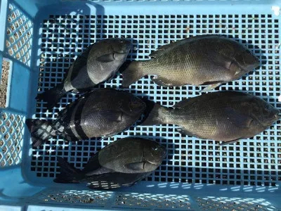 弁天丸の2021年3月23日(火)2枚目の写真