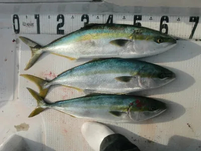 釣り船 みらいの2021年4月15日(木)2枚目の写真