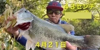 入鹿亭の2021年4月21日(水)1枚目の写真