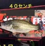 入鹿亭の2021年4月21日(水)5枚目の写真