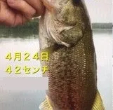 入鹿亭の2021年4月24日(土)3枚目の写真