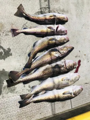 漁恵丸の2021年5月4日(火)2枚目の写真