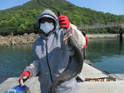 由良海つり公園&釣堀ランドの2021年5月23日(日)3枚目の写真