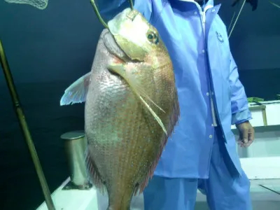 釣り船 みらいの2021年5月24日(月)1枚目の写真