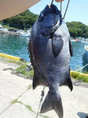 中山総合釣センター・海遊の2021年5月30日(日)3枚目の写真