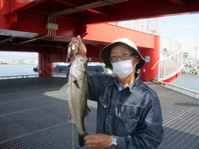 尼崎市立魚つり公園の2021年6月7日(月)1枚目の写真