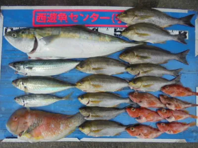 西遊魚センターの2021年6月11日(金)1枚目の写真