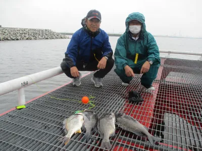 尼崎市立魚つり公園の2021年6月16日(水)2枚目の写真