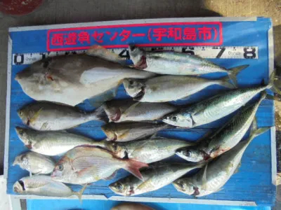 西遊魚センターの2021年6月25日(金)2枚目の写真