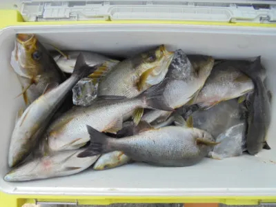 西遊魚センターの2021年6月25日(金)3枚目の写真