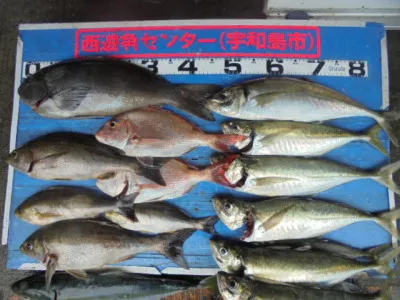 西遊魚センターの2021年6月27日(日)1枚目の写真