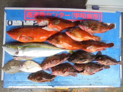 西遊魚センターの2021年6月27日(日)2枚目の写真