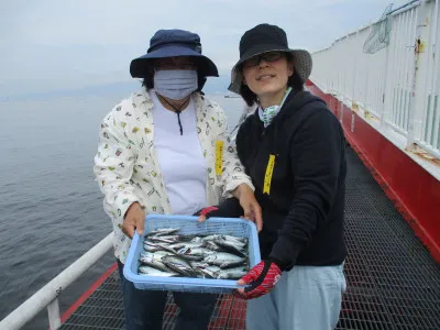 兵庫県尼崎 尼崎市立魚つり公園の釣果詳細 釣果 施設情報 釣りビジョン 釣果 施設情報 釣りビジョン 兵庫県尼崎 尼崎市立魚つり公園の釣果詳細 釣果 施設情報 釣りビジョン 釣果 施設情報 釣りビジョン