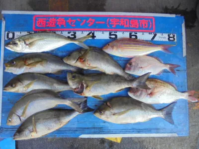 西遊魚センターの2021年7月27日(火)3枚目の写真
