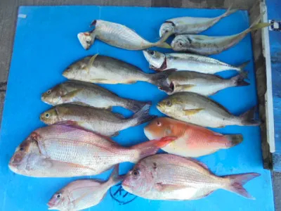 西遊魚センターの2021年7月27日(火)4枚目の写真