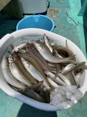 釣り船 大翔丸の2021年7月28日(水)5枚目の写真